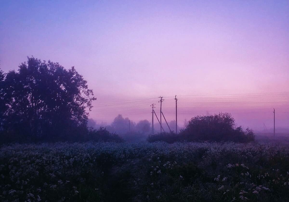 云开体育官网-爱德华兹22分戈贝尔18+12 森林狼轻取猛龙5连胜